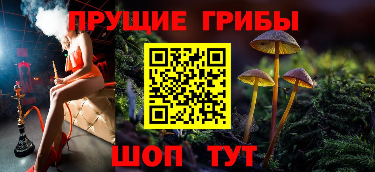 Галлюциногенные грибы Magic Shrooms  Вход с VPN  Псилоцибиновые грибы мицелий  Качканар 