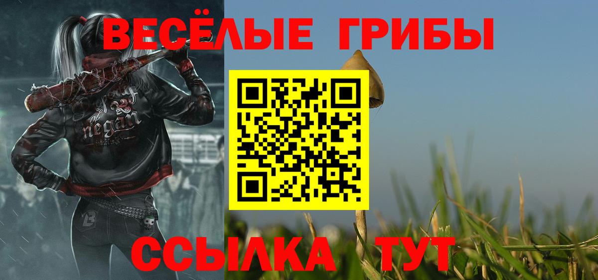 Псилоцибиновые грибы GOLDEN TEACHER Качканар