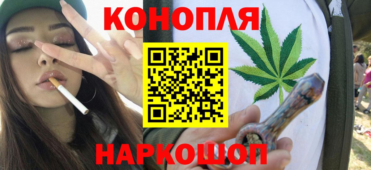 Конопля сатива Качканар